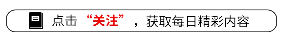 孟菲斯灰熊队曾用名_孟菲斯灰熊队_孟菲斯灰熊队员