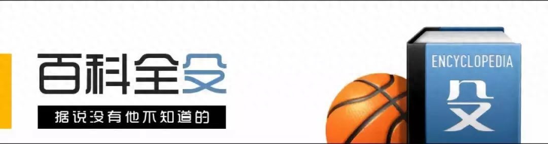尼古拉维奇拳手_尼古拉·武切维奇_尼古拉武切维奇和约基奇