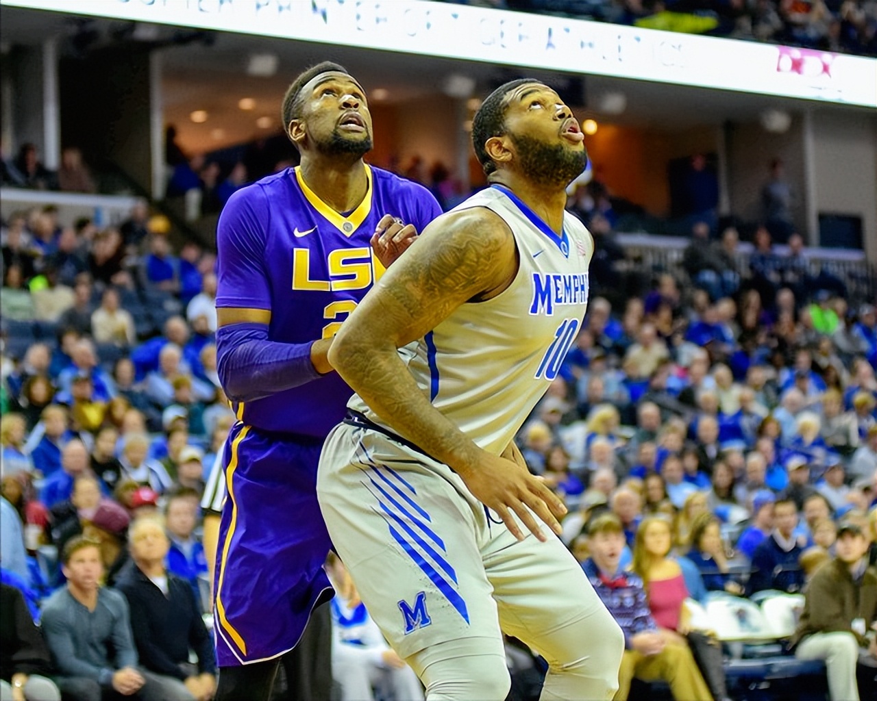  考辛斯 NBA 生涯数据 _德马库斯·考辛斯_德马库斯・考辛斯 篮球生涯故事 