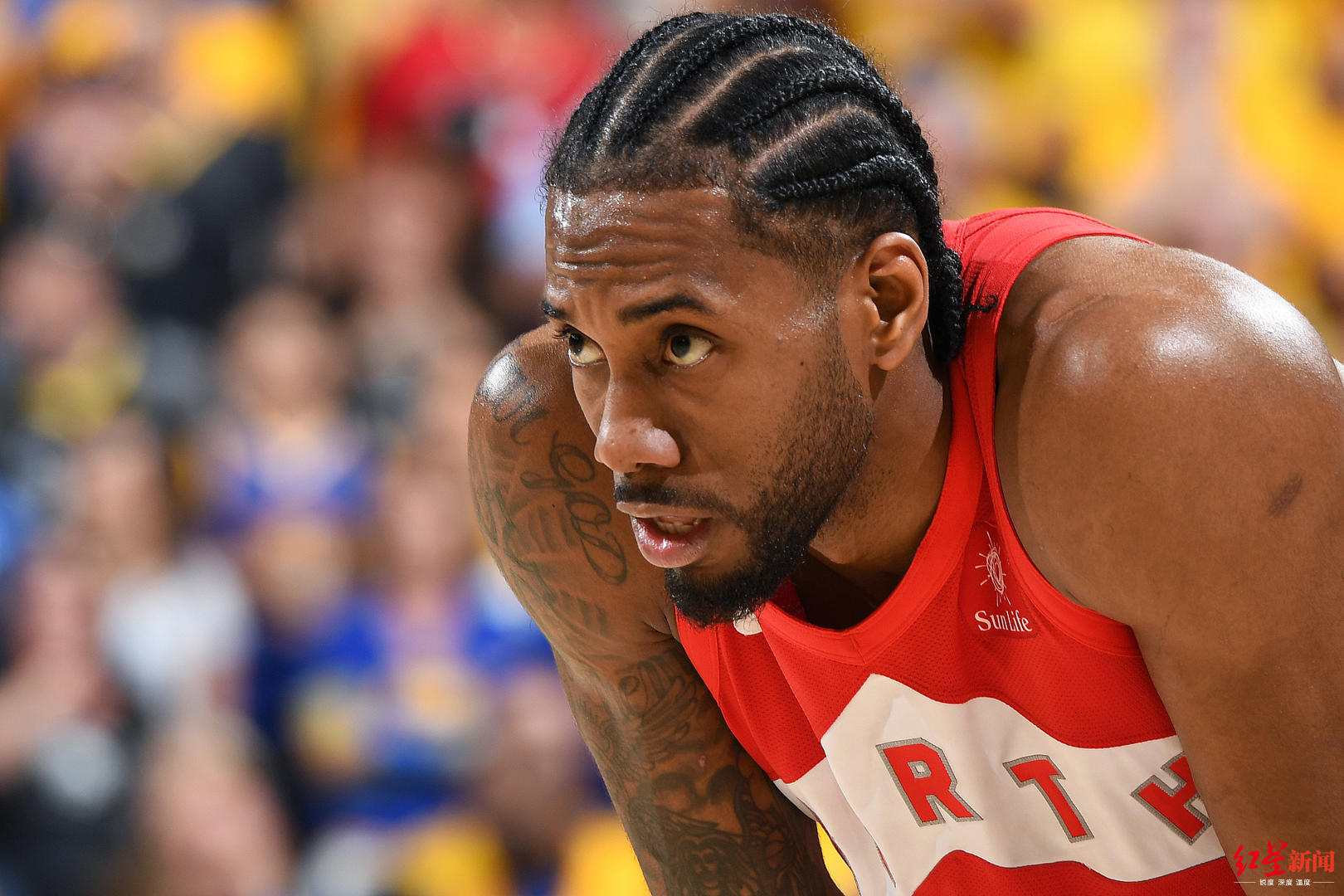 2019NBA总决赛猛龙夺冠_多伦多猛龙队_猛龙队首次夺冠意义