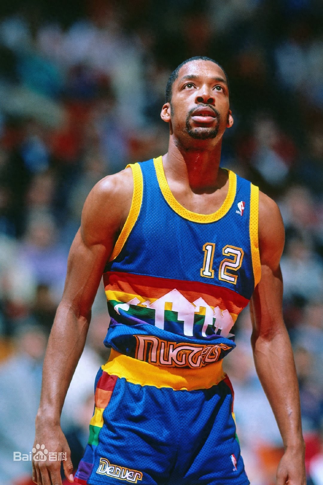NBA丹佛掘金队球员介绍_丹佛掘金队历史最佳阵容_丹佛掘金队