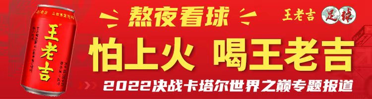 法国队内讧分析_本泽马德尚矛盾_本泽马