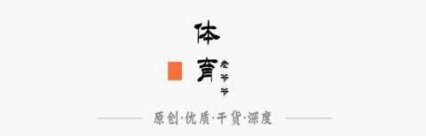 范戴克成长史_范戴克_荷兰足球巨星范戴克