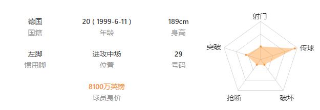 德甲年轻球员哈弗茨_哈弗茨_勒沃库森中场核心哈弗茨