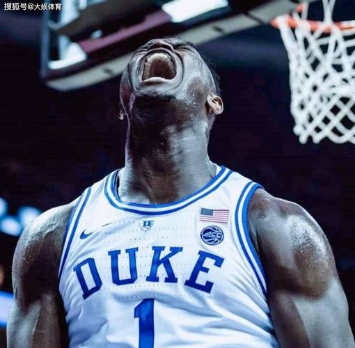 锡安·威廉姆森球鞋合同_锡安·威廉姆森_2019年NBA选秀状元锡安·威廉姆森
