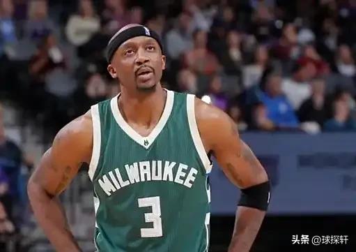 达拉斯独行侠队球员生涯数据对比_达拉斯独行侠队_NBA 2010-11 赛季总冠军成员数据分析