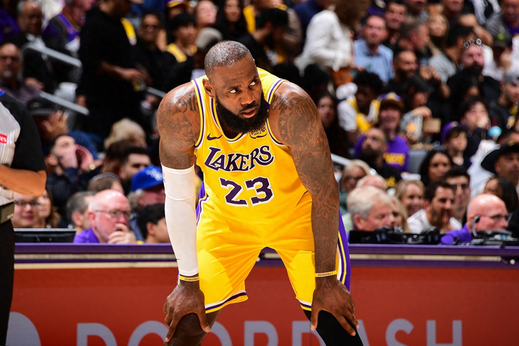 勒布朗詹姆斯球员选项分析_NBA2025自由球员市场预测_自由球员
