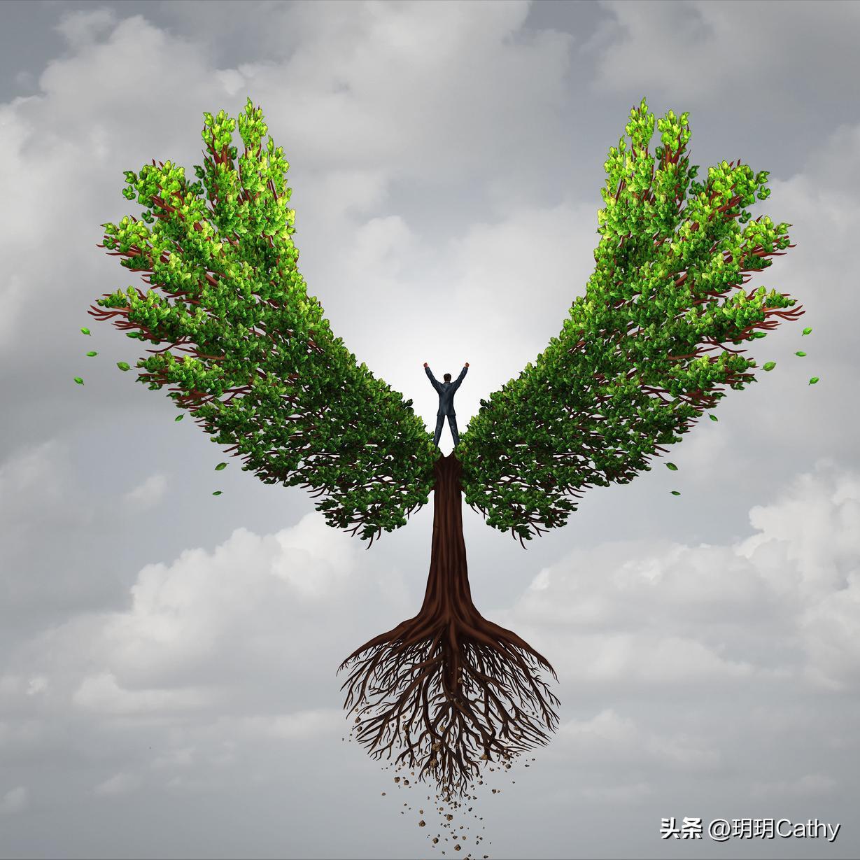 埃里克森_我非理想中的我心理学解读_埃里克森自我认知理论