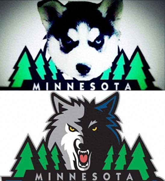 明尼苏达森林狼队_Minnesota Timberwolves team history best roster_Minnesota Timberwolves team history key players