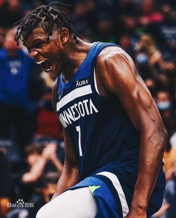 Minnesota Timberwolves team history best roster_明尼苏达森林狼队_Minnesota Timberwolves team history key players